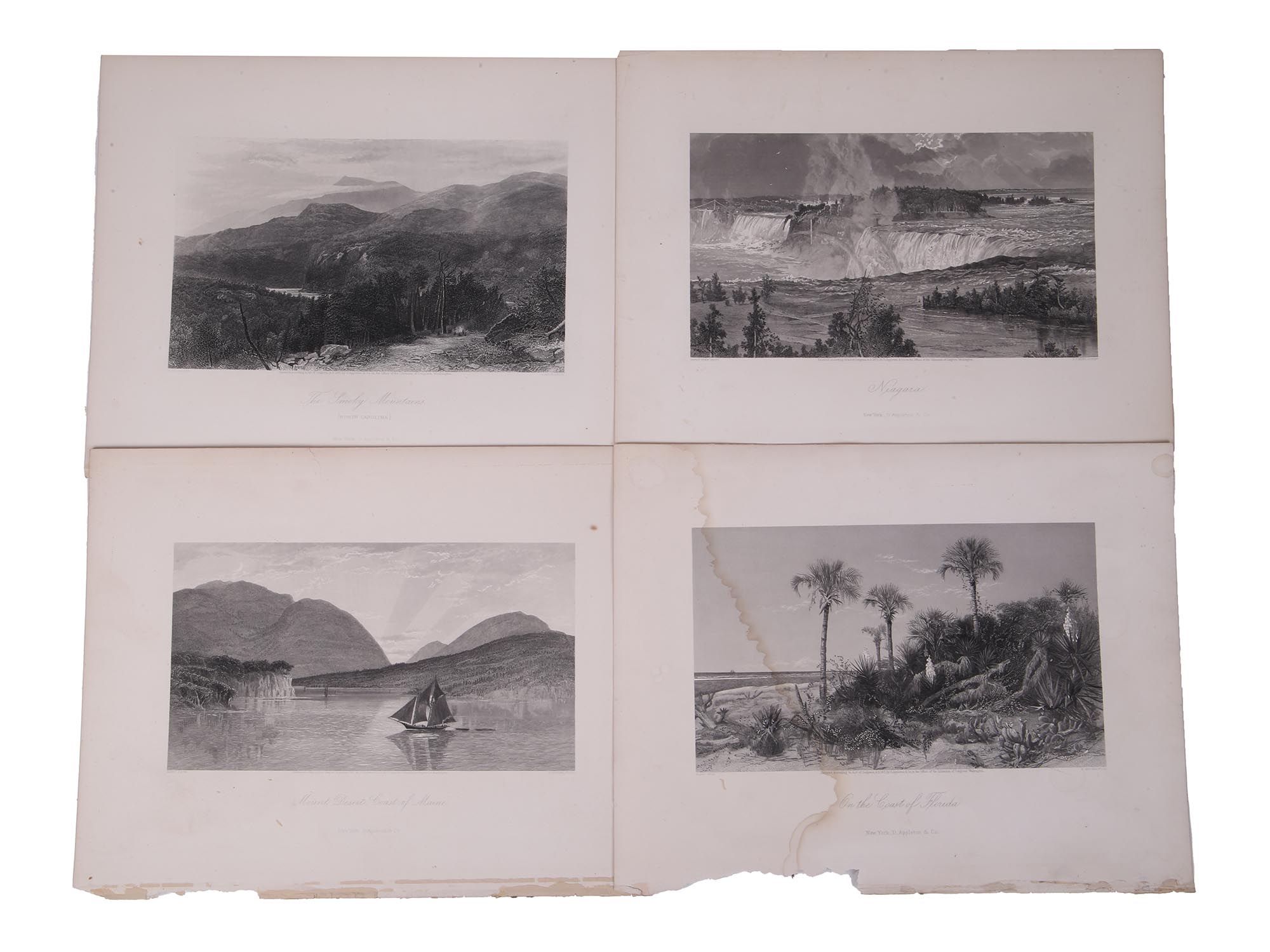 FOUR ANTIQUE XIX CENTURY AMERICAN NATURE ETCHINGS PIC-0